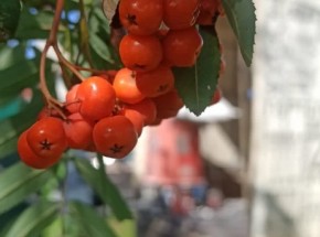 Утепление межэтажного перекрытия 